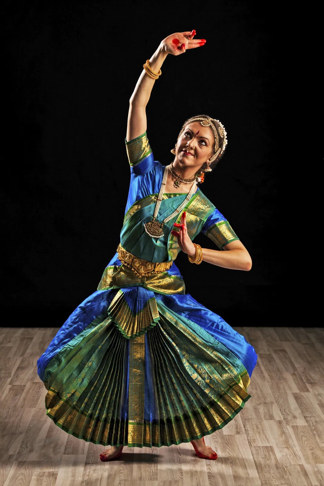 Indian Classical Dancers Delhi